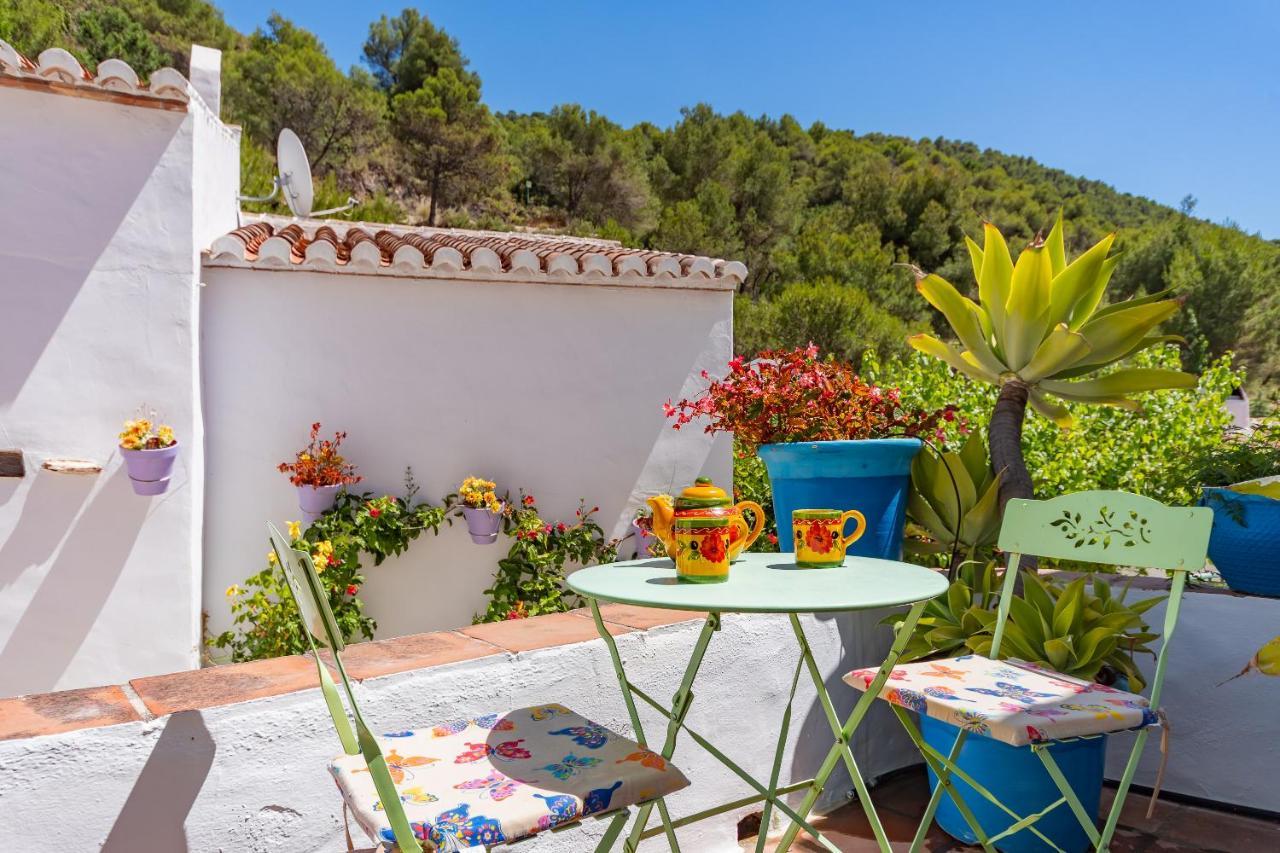 La Casita De Las Mariposas فريجيليانا المظهر الخارجي الصورة