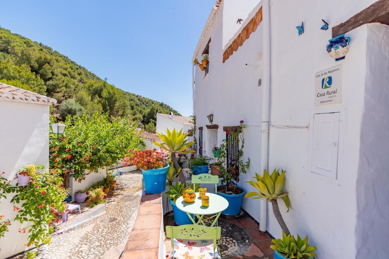 La Casita De Las Mariposas فريجيليانا المظهر الخارجي الصورة