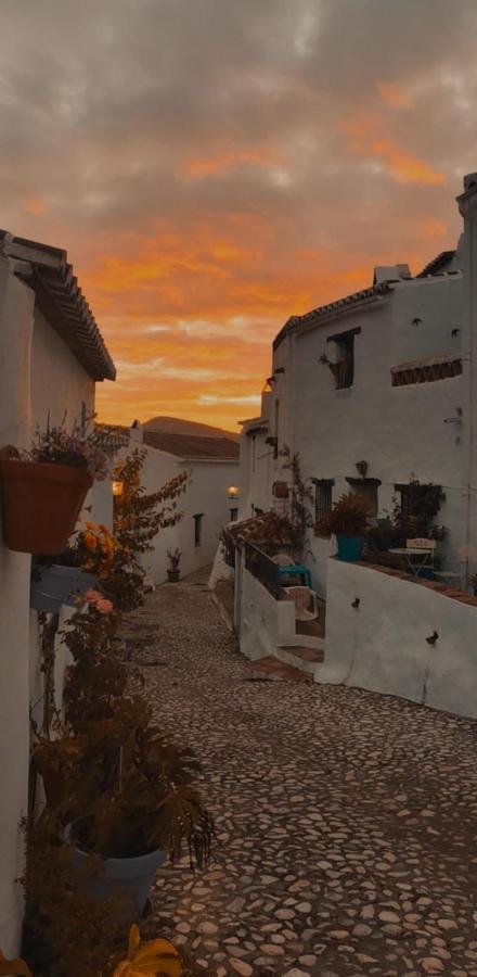 La Casita De Las Mariposas فريجيليانا المظهر الخارجي الصورة